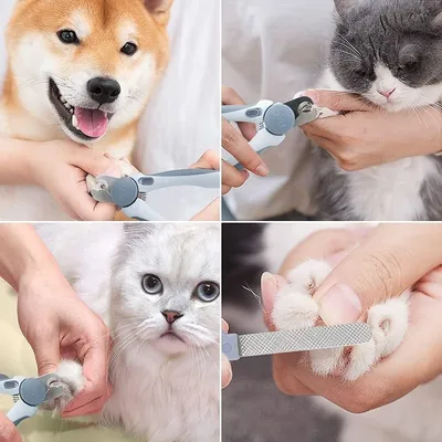 FurryFusion Coupe-ongles pour chats et chiens avec lime