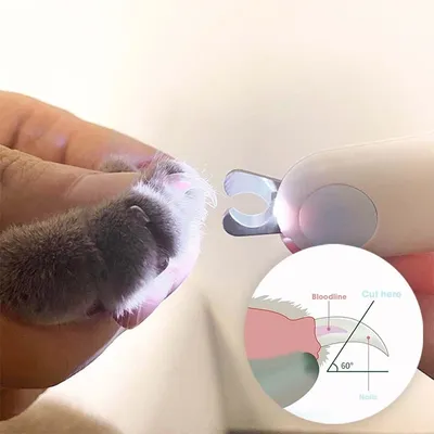 FurryFusion Coupe-ongles pour chiens et chats avec lumières LED