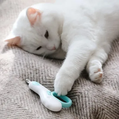 FurryFusion Coupe-ongles pour chiens et chats avec lumières LED