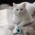 FurryFusion Coupe-ongles pour chiens et chats avec lumières LED