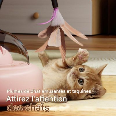 FurryFusion Coche de juguete automático con forma de gato