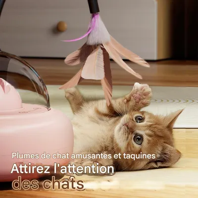 FurryFusion Jouet de voiture pour chat automatique