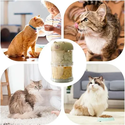 FurryFusion Jouet de voiture pour chat automatique FurryFusion Jouet de voiture pour chat automatique