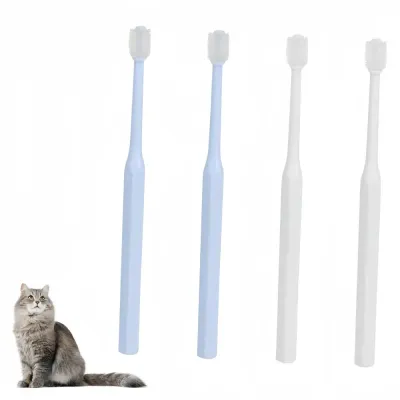Pet Planet Animaux De Compagnie Bocal De Stockage De Nourriture Portable