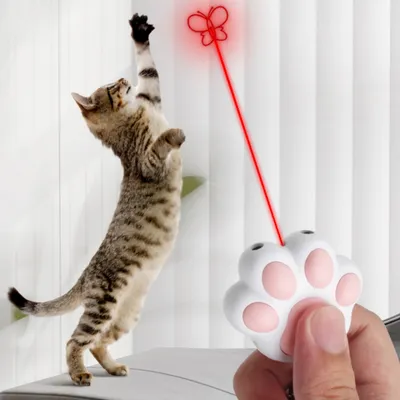 FurryFusion Jouet pour chat - Stylo laser pour chat