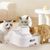 FurryFusion - Dispenseur d'eau à eau circulante pour chats
