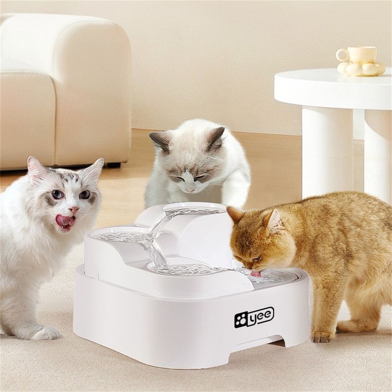 FurryFusion - Dispenseur d'eau à eau circulante pour chats