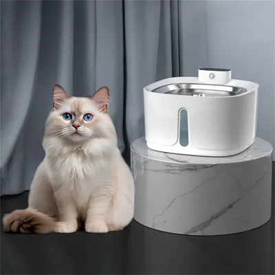 FurryFusion - Dispenseur d'eau intelligent sans fil pour animaux 3,2 L
