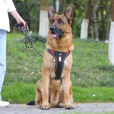 FurryFusion Harnois pour grands chiens - Sans traction