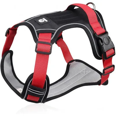 FurryFusion Harnois pour grands chiens - Sans traction