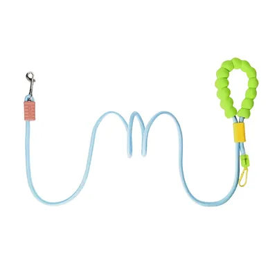 FurryFusion Corde de traction pour chien tendance dopamine