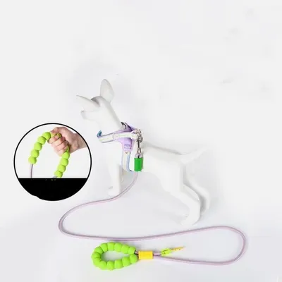 FurryFusion Corde de traction pour chien tendance dopamine