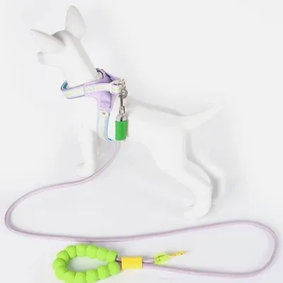 FurryFusion Corde de traction pour chien tendance dopamine