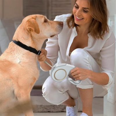 FurryFusion Laisse rétractable pour chien 3 m