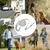 FurryFusion Laisse rétractable pour chien 3 m