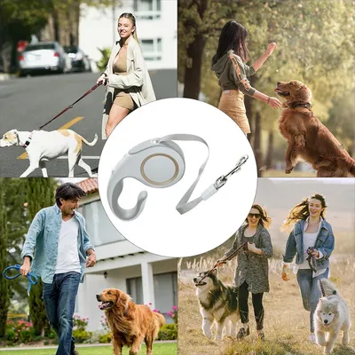 FurryFusion Laisse rétractable pour chien 3 m