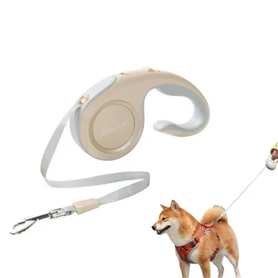 FurryFusion Correa retráctil para perros de 3 m