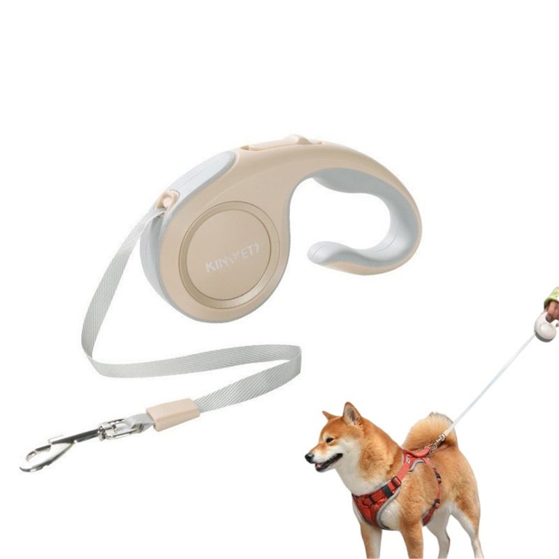 FurryFusion Laisse rétractable pour chien 3 m
