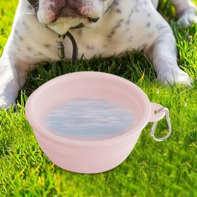 FurryFusion Corde de traction pour chien tendance dopamine