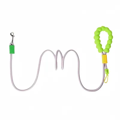 FurryFusion Corde de traction pour chien tendance dopamine