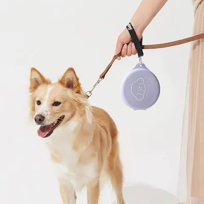 FurryFusion Corde de traction pour chien tendance dopamine
