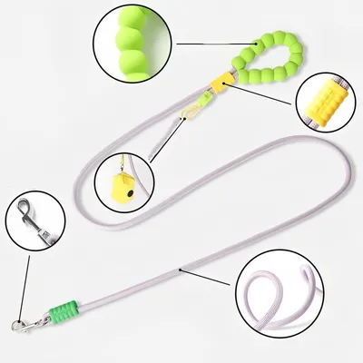 FurryFusion Corde de traction pour chien tendance dopamine