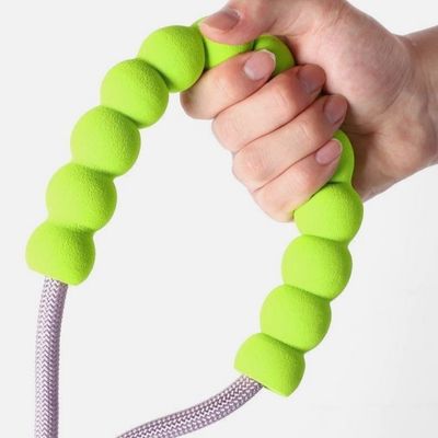 FurryFusion Corde de traction pour chien tendance dopamine