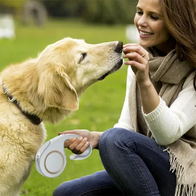 FurryFusion Correa retráctil para perros de 3 m