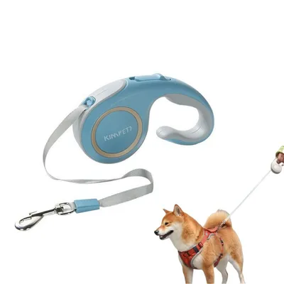 FurryFusion Laisse rétractable pour chien 3 m