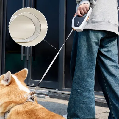 FurryFusion Laisse rétractable pour chien de taille moyenne