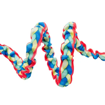 FurryFusion Corde de promenade et collier pour chiens