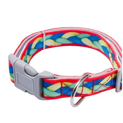 FurryFusion Corde de promenade et collier pour chiens