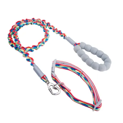 FurryFusion Corde de promenade et collier pour chiens