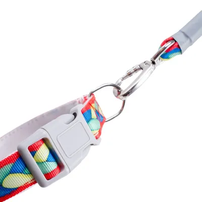 FurryFusion Corde de promenade et collier pour chiens