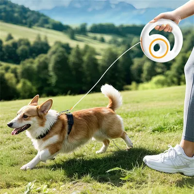 FurryFusion - Corde de traction auto - rétractable pour chien