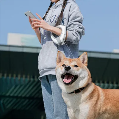 FurryFusion - Corde extensible pour chien avec lumière