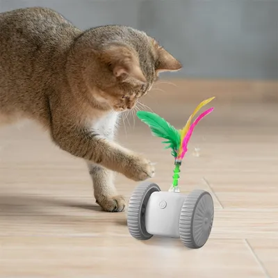 FurryFusion Jouet interactif pour chat avec des plumes colorées