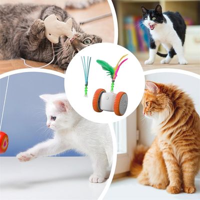 FurryFusion Jouet interactif pour chat avec des plumes colorées
