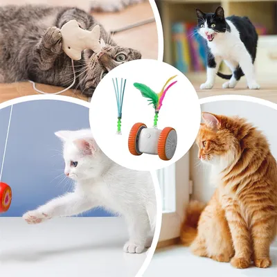 FurryFusion Jouet interactif pour chat avec des plumes colorées