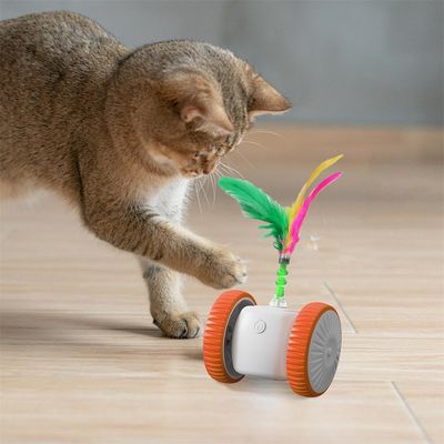 FurryFusion Jouet interactif pour chat avec des plumes colorées
