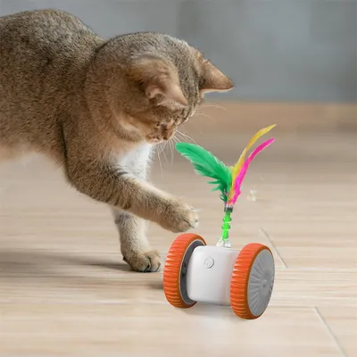 FurryFusion Jouet interactif pour chat avec des plumes colorées