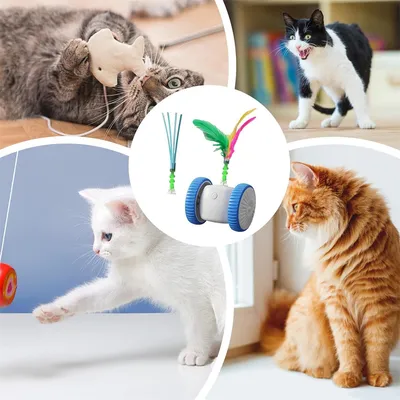 FurryFusion Jouet interactif pour chat avec des plumes colorées