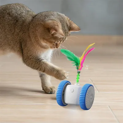 FurryFusion Jouet interactif pour chat avec des plumes colorées