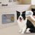 FurryFusion Nappe de lèchage en silicone de compagnie