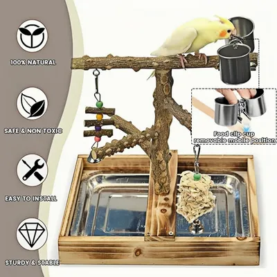 Terrain de jeu pour perroquet