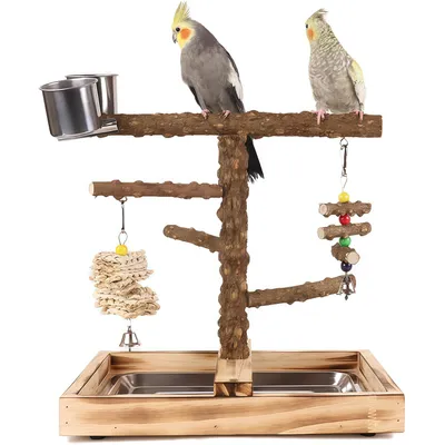 Terrain de jeu pour perroquet