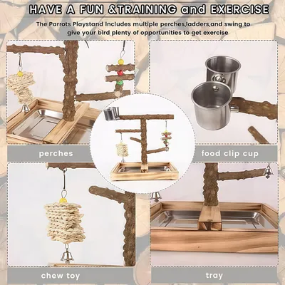 Terrain de jeu pour perroquet