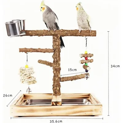 Terrain de jeu pour perroquet