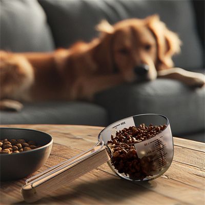 FurryFusion Cuchara medidora para comida de gatos y perros