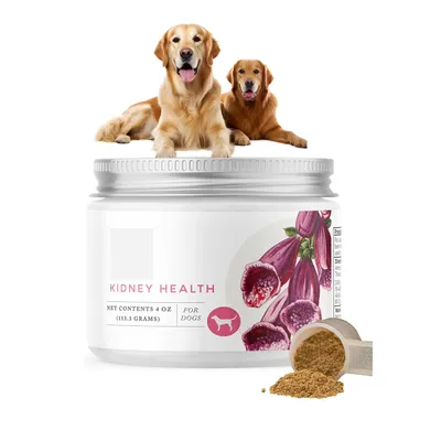 FurryFusion - Poudre d'énergie pour reins de chien